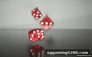 立博体育 | 北京赛车玩法风险管控与实战策略