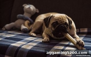立博体育新手专属现金返还攻略：轻松降低试错成本