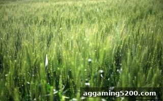 立博体育每日充值返利全攻略：玩法规则与收益最大化技巧