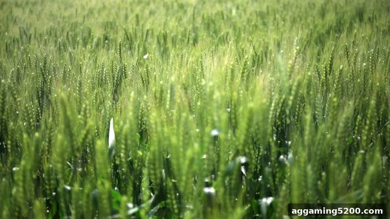 立博体育每日充值返利全攻略：玩法规则与收益最大化技巧