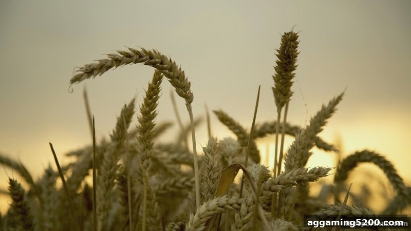 立博体育带你玩转五龙争霸：注册福利与安全攻略全解析