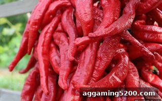 立博体育VIP玩家必读：牛牛平台福利获取全攻略与大小球实战技巧