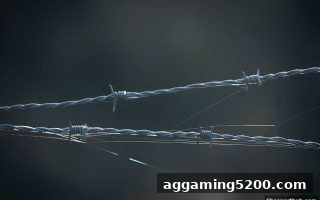 立博体育实战指南：账号冻结全流程维权策略与平台甄别技巧