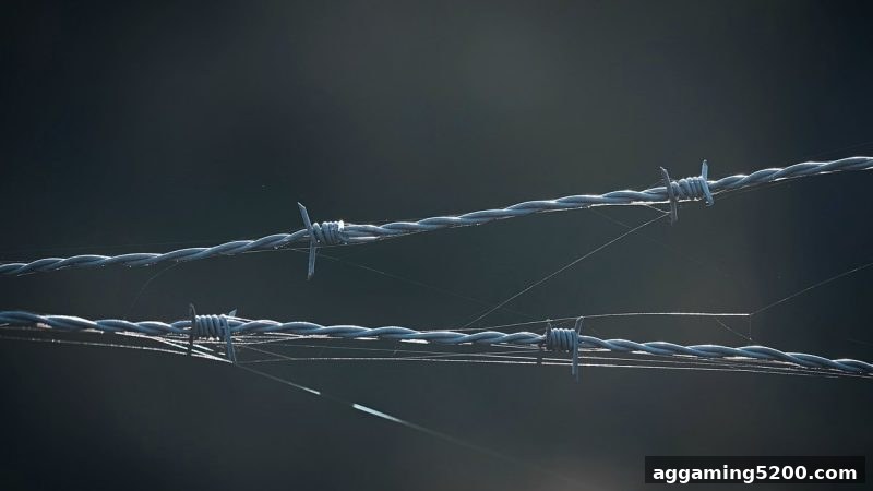 立博体育实战指南：账号冻结全流程维权策略与平台甄别技巧