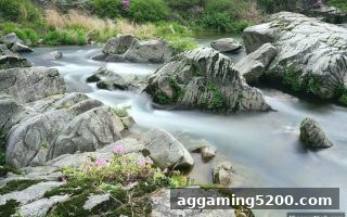 立博体育视角：电竞直播粉丝经济与提现全流程深度解读