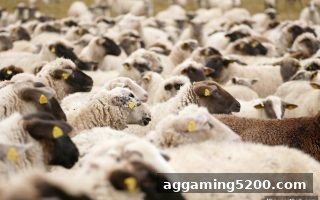立博体育波胆玩法全维度技巧：从数据到实战的系统化指南